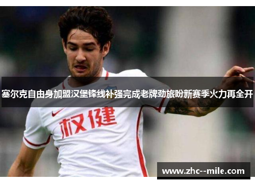 塞尔克自由身加盟汉堡锋线补强完成老牌劲旅盼新赛季火力再全开